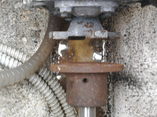[Immagine: 2011328211540_Foto0666.jpg]